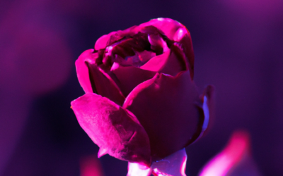 Unlocking Your Intuitive Gifts: How the Rose Method Can Help